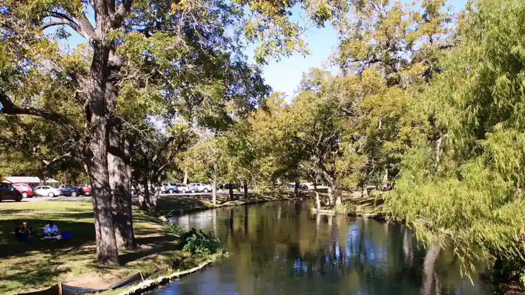 a view on Comal River in New Braunfels, TX